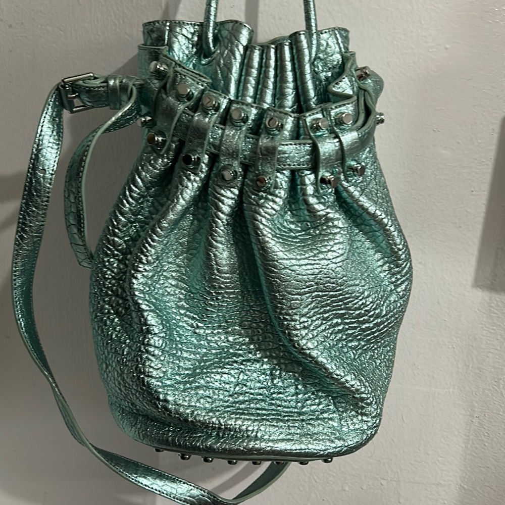 Alexander Wang Diego Bucket Bag